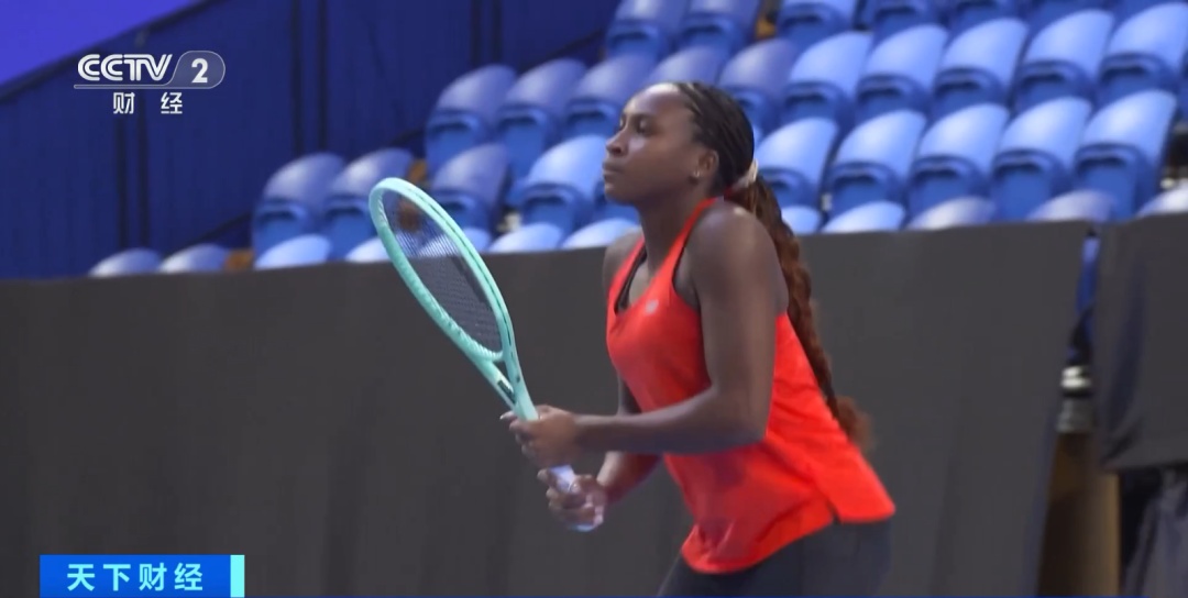 桑托斯最终 桑托斯最终