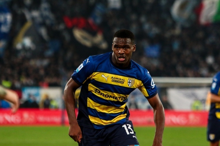 不僅引起了 不僅引起了