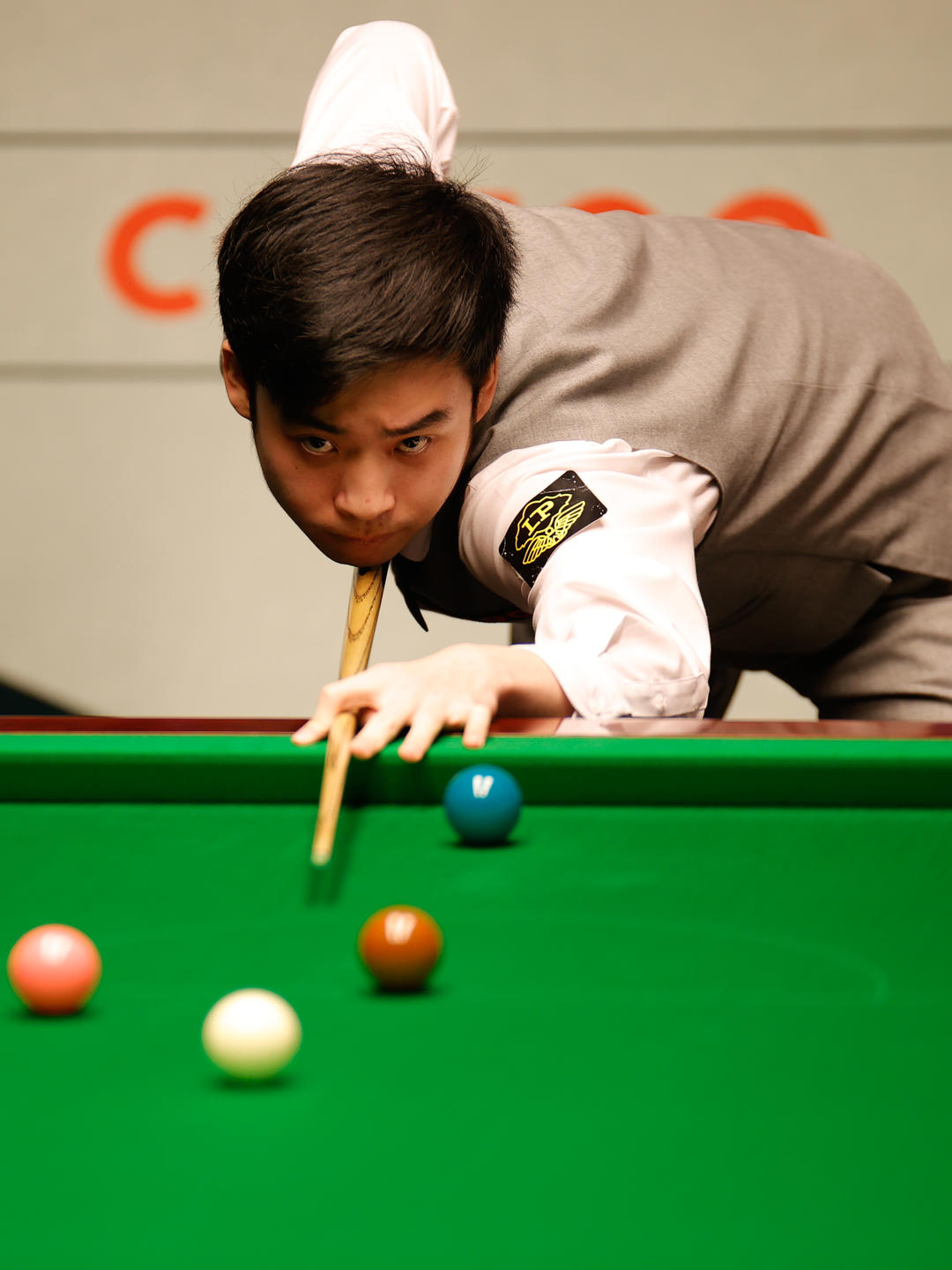 媒体和公众 媒体和公众